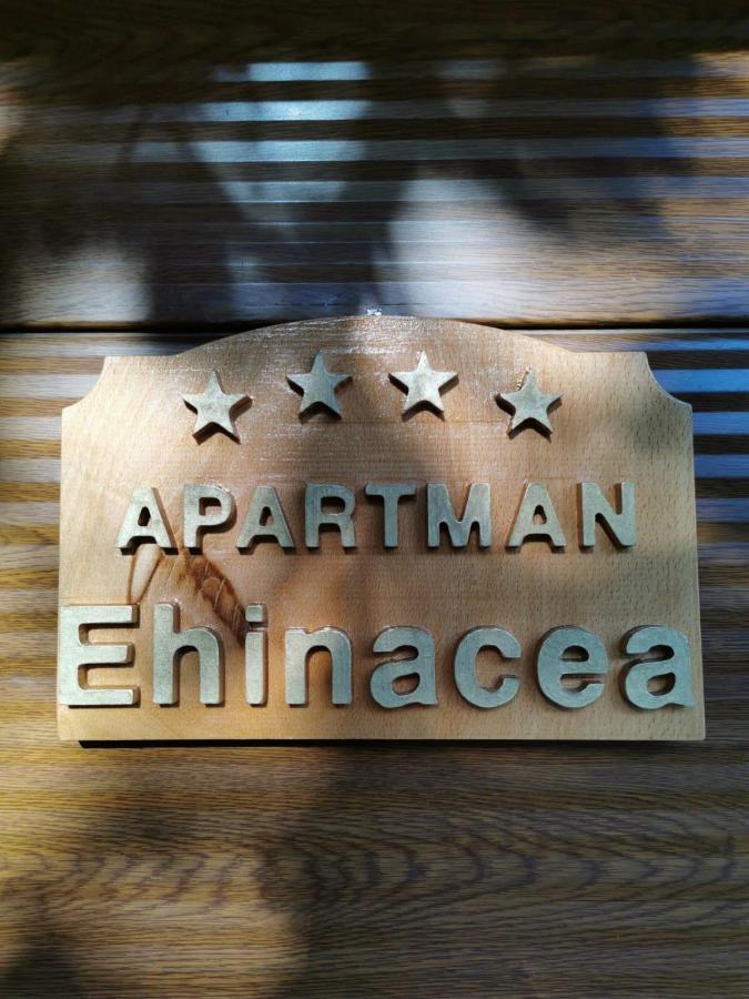 르탄 Ehinacea 아파트 외부 사진
